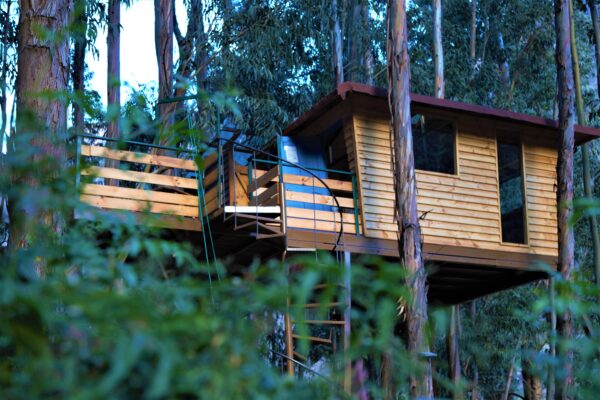Casa en los Árboles + Desayuno y fogata