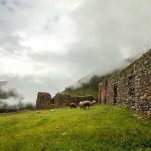 Caminata a Pumamarka con asistente – Valle Sagrado