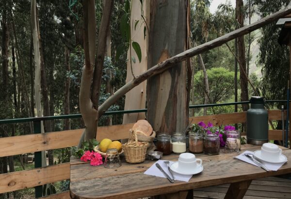Casa en los Árboles + Desayuno y fogata - Image 3
